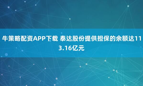 牛策略配资APP下载 泰达股份提供担保的余额达113.16亿元