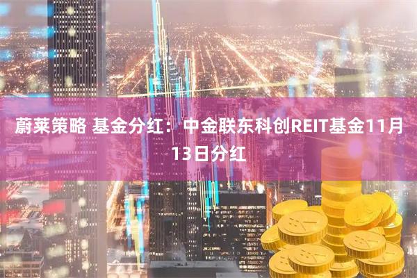 蔚莱策略 基金分红：中金联东科创REIT基金11月13日分红