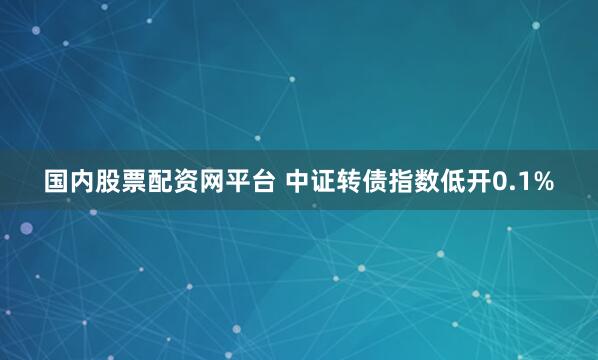 国内股票配资网平台 中证转债指数低开0.1%